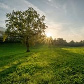 Stimmig unterwegs sein - und die Entscheidung leben Offene Landschaft mit ruhigem Sonnenstand als Symbol für Klarheit und Integration