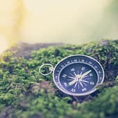 Kompass der in Moos liegt