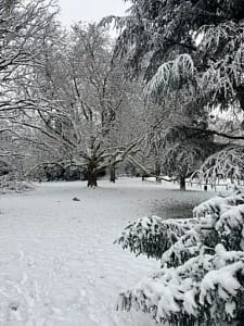 Winterimpressionen im Monatsrückblick Januar 2026 - Endlich Schnee - Blick in den verschneiten Park
