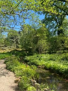Sonniger Weg durch den Park an Bach und üppigem Frühlingsgrün entlang - April 2026