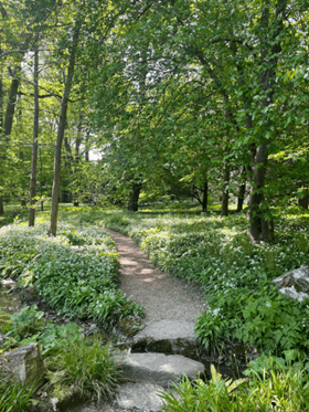 Ritual zur Achtsamkeit  - meditativer Weg durch blühende Pflanzen im Botanischen Garten Frankfurt