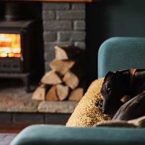 Hund auf Sofa vor Kamin