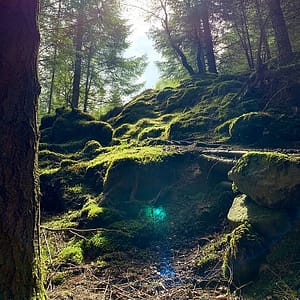 Steiniger Anstieg durch den Wald über moosbewachsene Steine. Türkises Licht durch Sonnenstrahlen im Vordergrund.