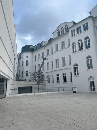 Innenhof des Jüdischen Museums – Das Kunstwerk des entwurzelten Baums Blick in den Innenhof des Jüdischen Museums Frankfurt mit dem Kunstwerk: Ein verwurzelter Baum trägt einen entwurzelten Baum in seiner Krone