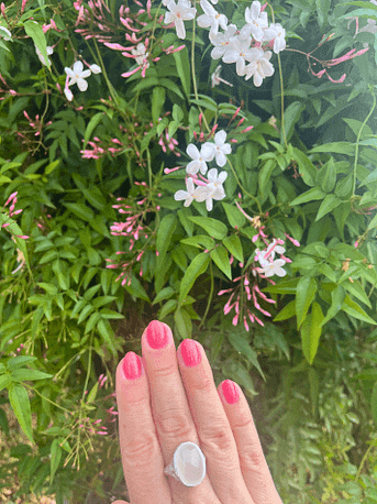 Pink lackierte Nägel vor blühendem Strauch Eine Hand mit pinkem Nagellack vor zart rosa-weißen Blüten an einem grünen Strauch