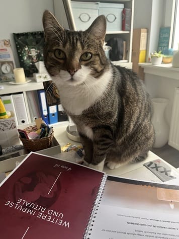 Mein Kater auf dem Rauhnachtsworkbook – ein persönlicher Begleiter in den Rauhnächten