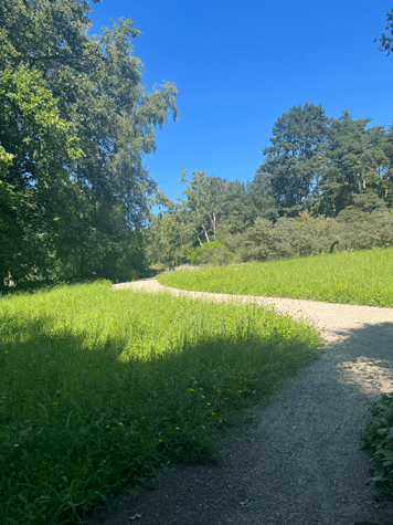 Weg im Botanischen Garten in Frankfurt - Symbol für das Unterwegssein - gerne auch gemeinsam