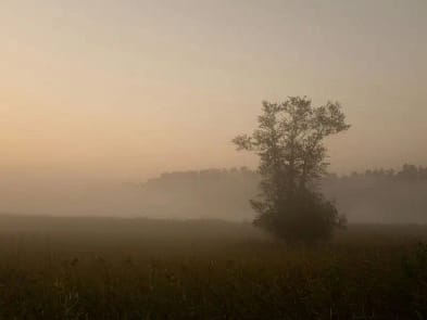Nebelige Landschaft im Morgenlicht - ein stiller Raum für innere Klarheit und Innehalten