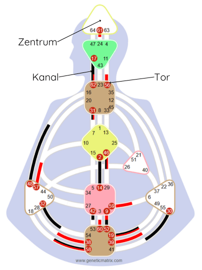 Human Design Bodygraph mit Markierungen für Zentrum, Tor und Kanal, basierend auf dem Chart von Leonardo da Vinci