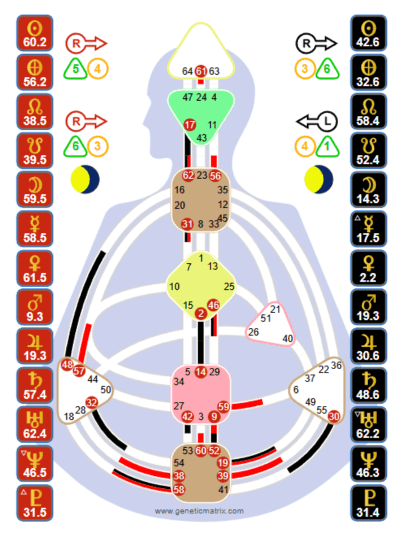 Human Design Chart von Leonardo da Vinci aus Genetic Matrix mit Planetenpositionen und Variablen.