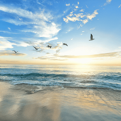 Sortiersession – Klarheit finden mit Weitblick und innerer Freiheit - Blick über das weite Meer im Sonnenlicht mit fliegenden Vögeln Blick über das weite Meer im Sonnenlicht mit fliegenden Vögeln - Symbol für neue Perspektiven und Klarheit