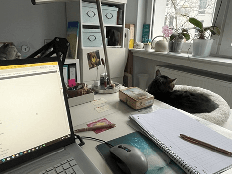 Bloggen mit Assistenz: Laptop und Kater als Arbeitsbegleitung