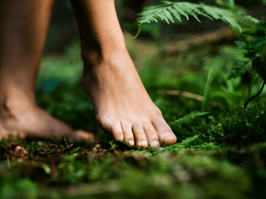 Barfuß auf Waldboden – geerdete Spiritualität und Rückverbindung zur Natur