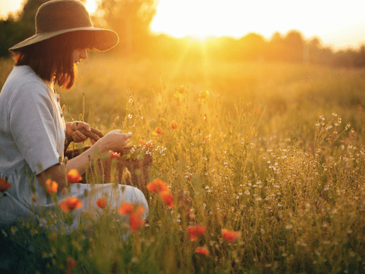 Frau mit Sonnenhut sammelt Blumen in der goldenen Abendsonne Frau mit Sonnenhut sammelt Blumen in der goldenen Abendsonne