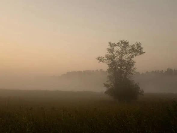 Stille & klar - Raum für Dich Nebelige Landschaft im Morgenlicht - ein stiller Raum für innere Klarheit und Innehalten