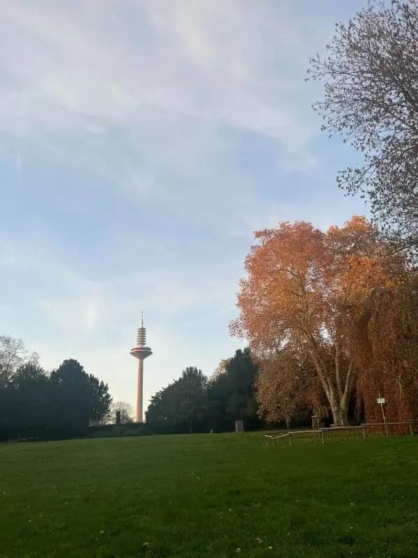 Herbstlicher Blick auf den Frankfurter Fernsehturm im November