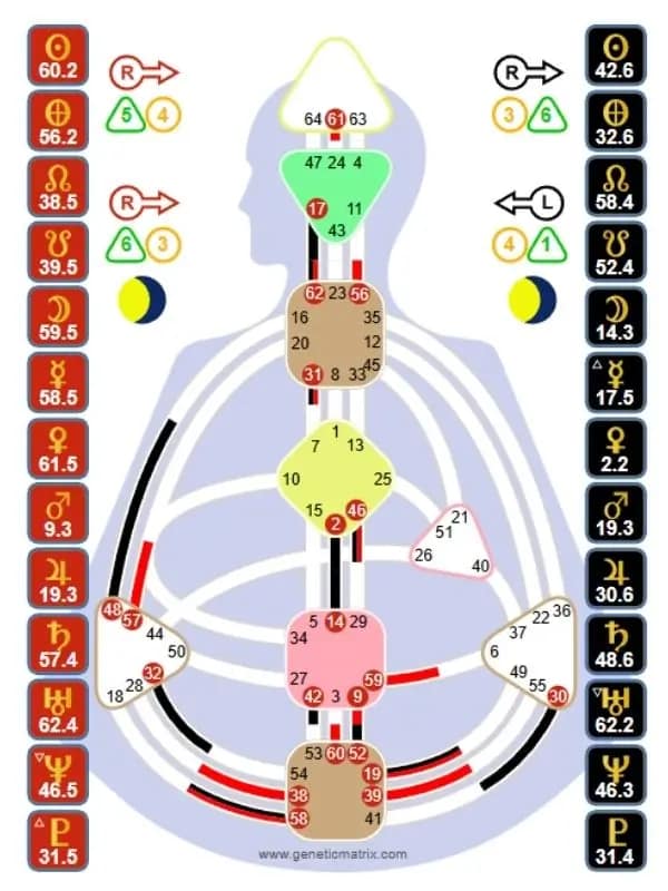 Beispiel eines Human Design Charts - Leonardo da Vinci Human Design Chart von Leonardo da Vinci aus Genetic Matrix mit Planetenpositionen und Variablen.