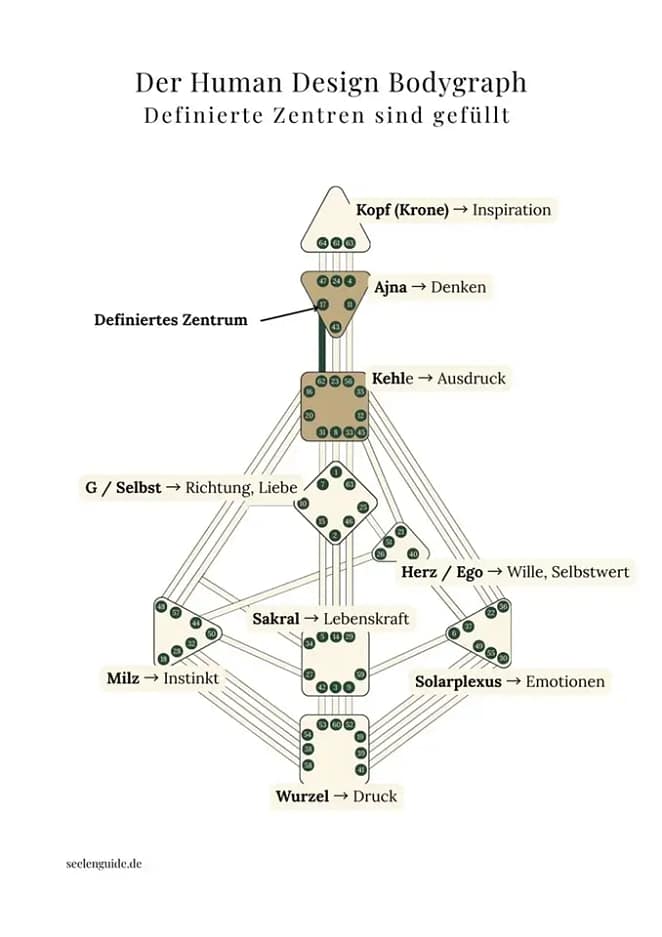 Definierte Zentren im Human Design - Darstellung im Bodygraph Human Design Bodygraph mit Darstellung von definierten Zentren - definierte Zentren werden gefüllt dargestellt
