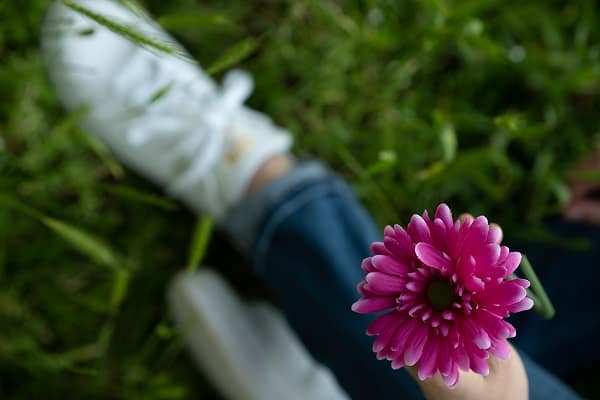 krisen-bewaeltigen-resilienz-staerken-innere-ressourcen-schwierige-zeiten-krise-reflektieren-jana-engel-coaching-beratung-orientierung Hand hält pinkfarbene Blume
