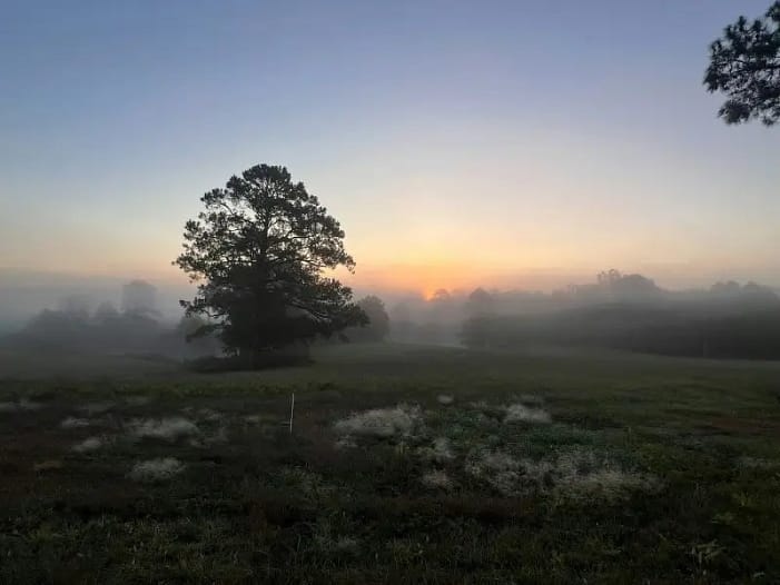 Geborgenheit im Wandel - Sonnenaufgang Nebeliger Sonnenaufgang über einer weichen Landschaft - ein Bild für Transformation und den Weg in die eigene Essenz