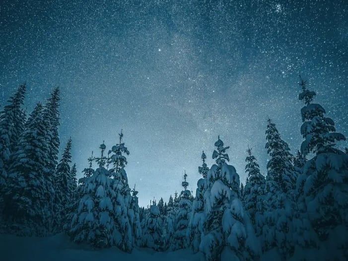 Magischer Winterwald bei Nacht Sternenklarer Himmel über verschneitem Winterwald - mystische Stimmung der Rauhnächte