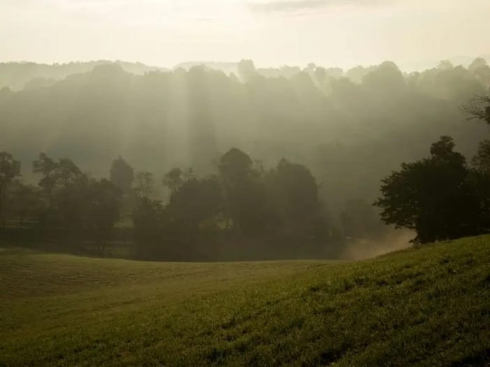 Der Nebel lichtet sich - kurz bevor Zyklen sich schließen Landschaft im sanften Nebel - Weite vor dem Abschluss von Zyklen