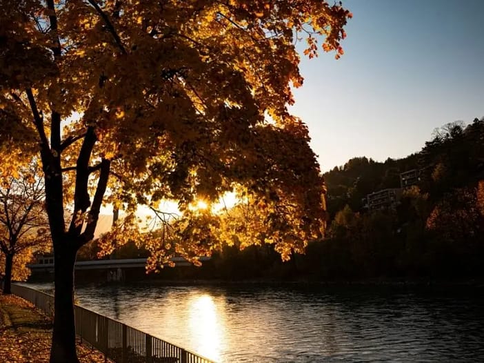 Mabon - Balance zwischen Licht und Dunkelheit Herbstlicher Baum im goldenen Gegenlicht an einem Fluss