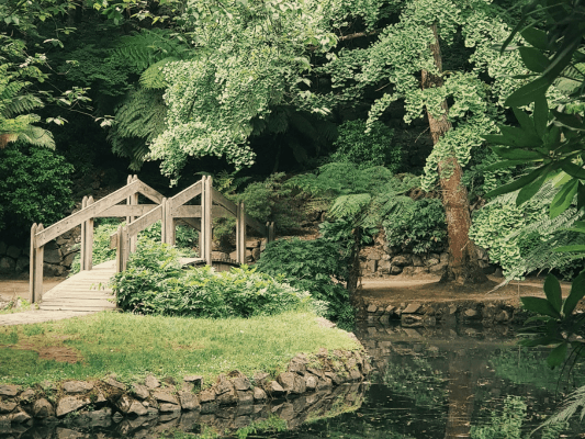 Brücke zu einer von Wasser umgebenen Insel - Symbol für den Weg zur inneren Ruhe und Verbindung mit dem eigenen Seelengarten