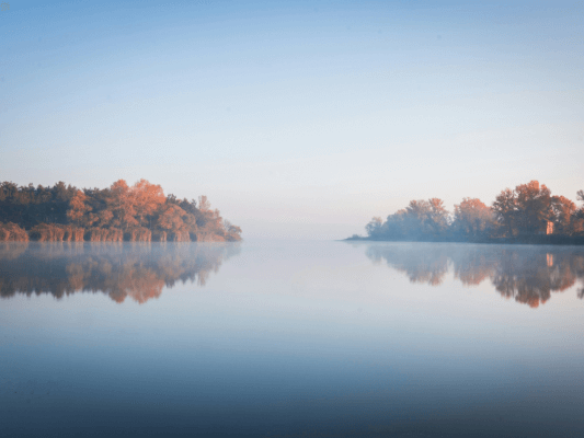 Ein stiller See im Morgenlicht, in dem sich die Bäume am Ufer sanft spiegeln – Symbol für Hingabe, Vertrauen und Tiefgang auf der AKASHA Seelenreise