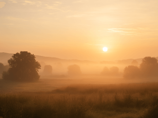 Sonnenaufgang im Nebel - Symbol für stille Seelenimpulse und innere Führung