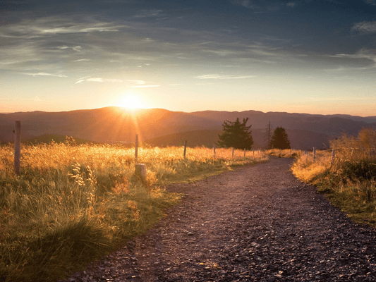 Weg im Sonnenuntergang - Symbol für Seelenführung und Selbstverantwortung