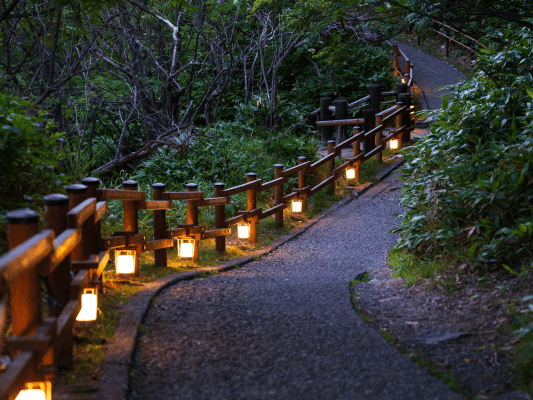 Laternen erleuchten einen Pfad – Einladung, dem eigenen Weg zur Stimme zu folgen