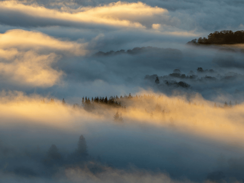 Morgenlicht im Nebel über Waldhügeln - Symbol für die AKASHA als lebendiges Feld & Resonanzraum